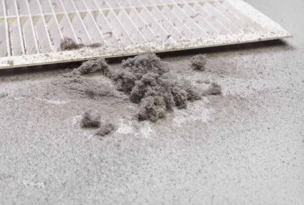 Best Professional Duct Cleaning Services  in Wolcottville, IN